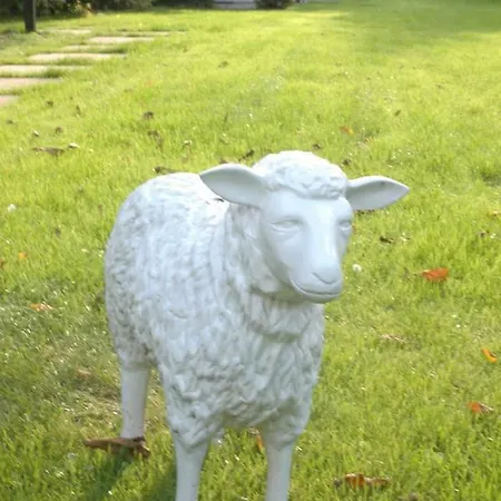 Aan De Bosrand Hoenderloo Apeldoorn