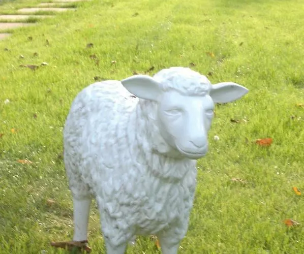 Aan De Bosrand Hoenderloo Apeldoorn