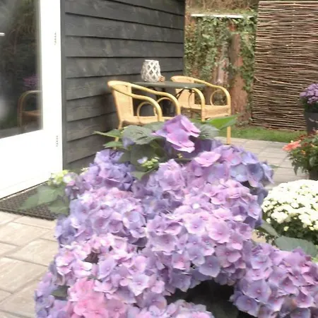 Bed & Breakfast Aan De Bosrand Hoenderloo Apeldoorn