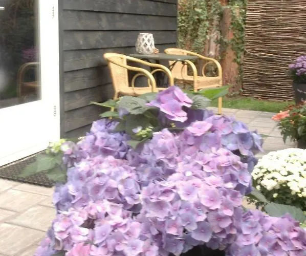 Bed and breakfast Aan De Bosrand Hoenderloo Apeldoorn